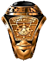PSP RING