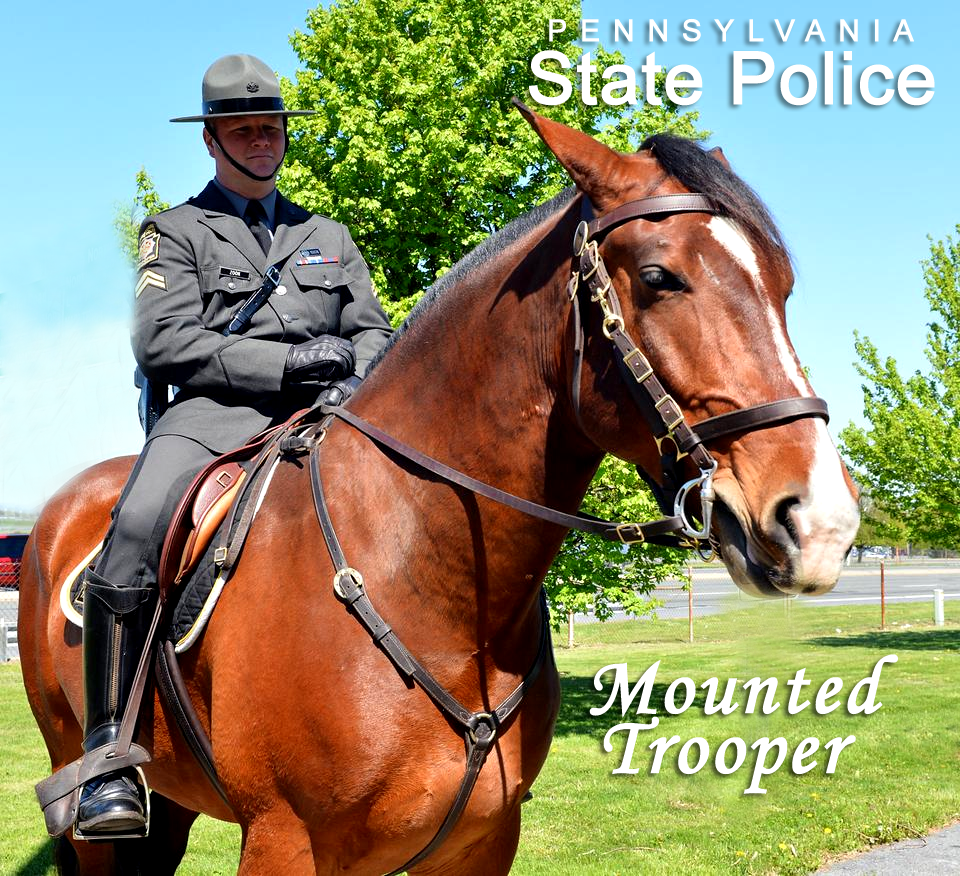 mounted_trooper01